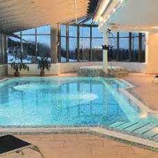 Hotel Witikohof - Pool