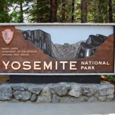 Nationalpark - YOSEMITE